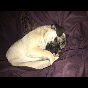 Meet your Posher, Isabel